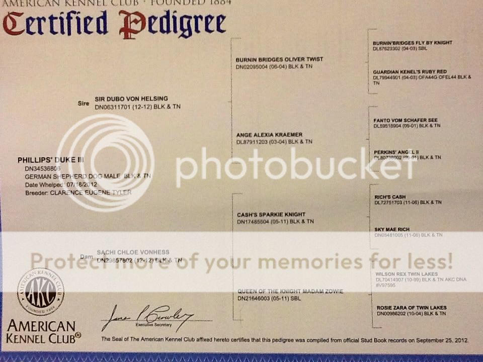 Abbreviations? German Shepherds Forum