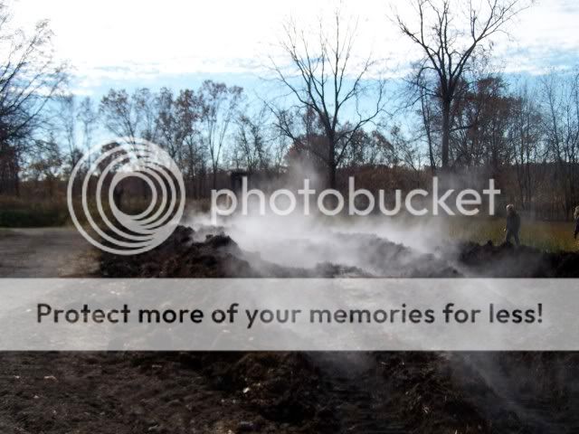 Extreme Composting - Homesteading Questions