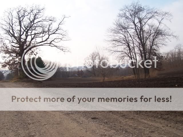 Extreme Composting - Homesteading Questions