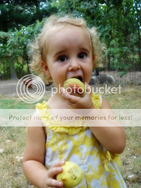 Extreme Composting - Homesteading Questions