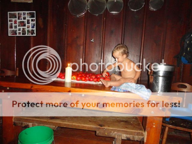 Extreme Composting - Homesteading Questions