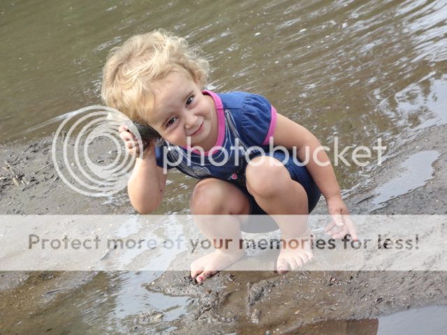 Extreme Composting - Homesteading Questions