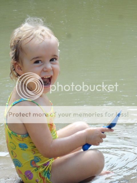 Extreme Composting - Homesteading Questions