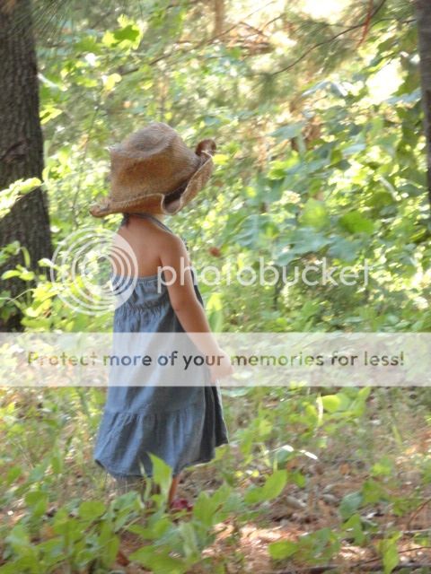 Extreme Composting - Homesteading Questions