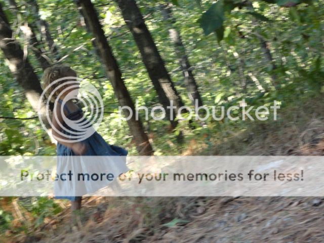 Extreme Composting - Homesteading Questions