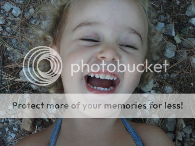 Extreme Composting - Homesteading Questions