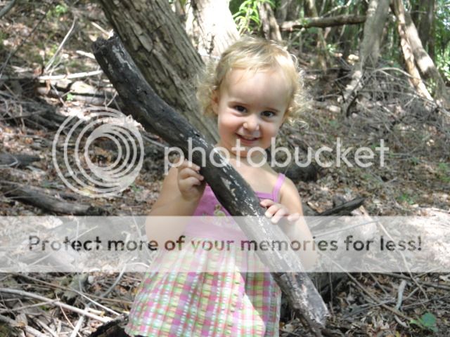 Extreme Composting - Homesteading Questions