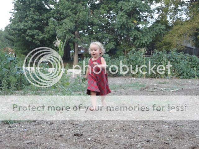 Extreme Composting - Homesteading Questions