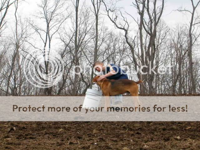 Building a durable compost bin. - Gardening & Plant Propagation