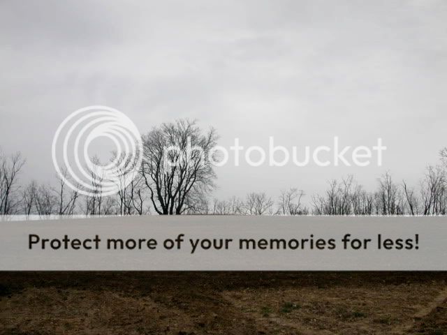 Building a durable compost bin. - Gardening & Plant Propagation