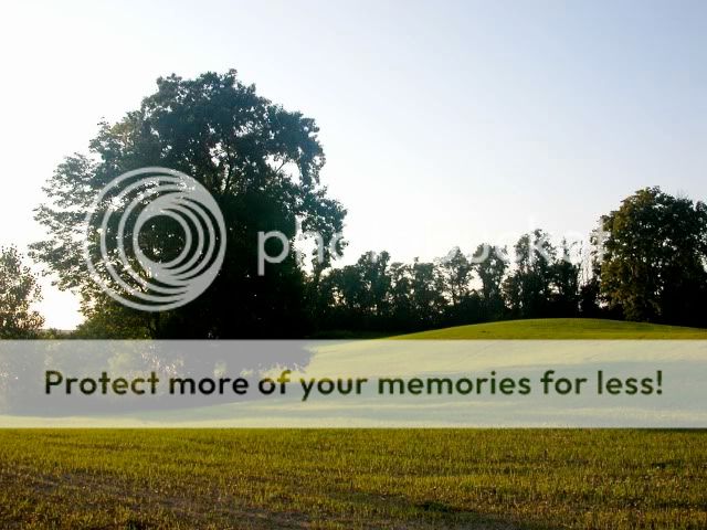 Building a durable compost bin. - Gardening & Plant Propagation