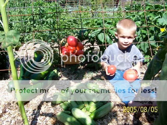 Building a durable compost bin. - Gardening & Plant Propagation