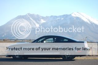 Posted Image