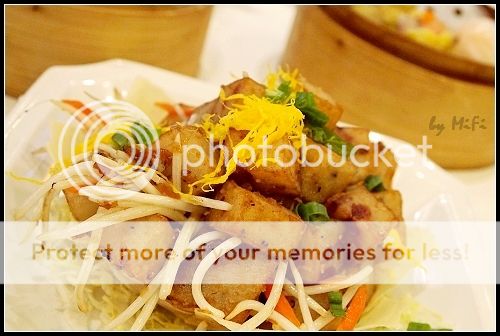photo VCDS01_zpsdeaa663c.jpg
