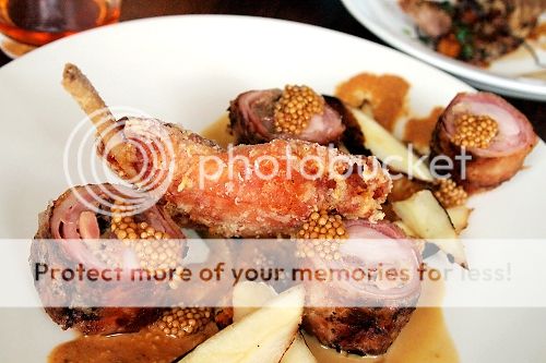 photo Pidgin01_zpsfd47550a.jpg