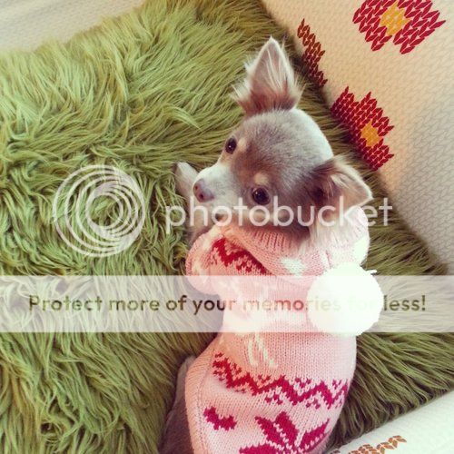  photo 05_zpsf79b8dae.jpg