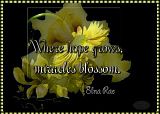 WhereHopeGrows2.jpg Where Hope Grows image by rubybluediamond