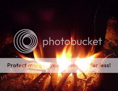 untitled.jpg image by tcnao