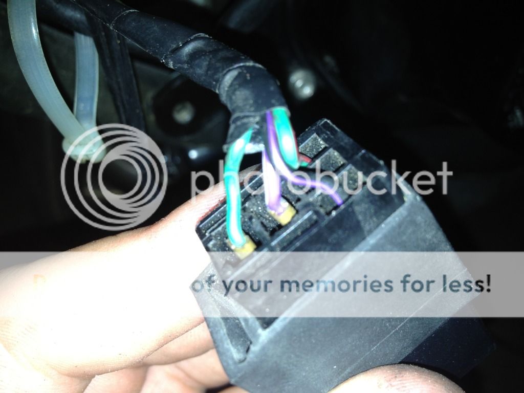 Fuel Pump Not Priming Triumph 675 Forums