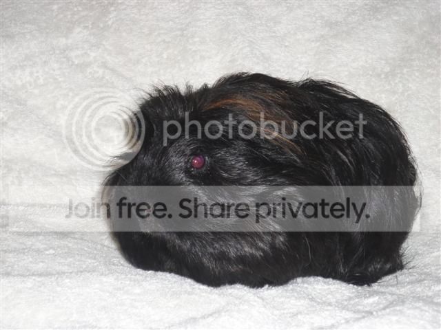 DSC00795Small.jpg